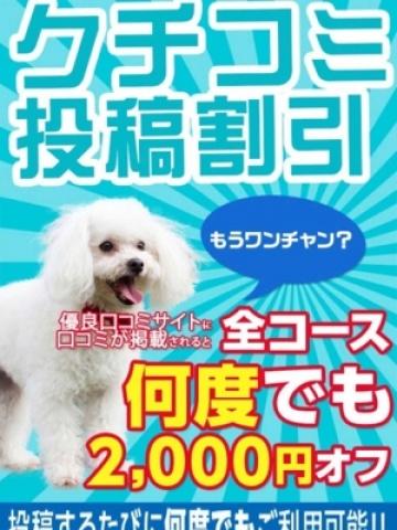 口コミ投稿割引2000円オフ!